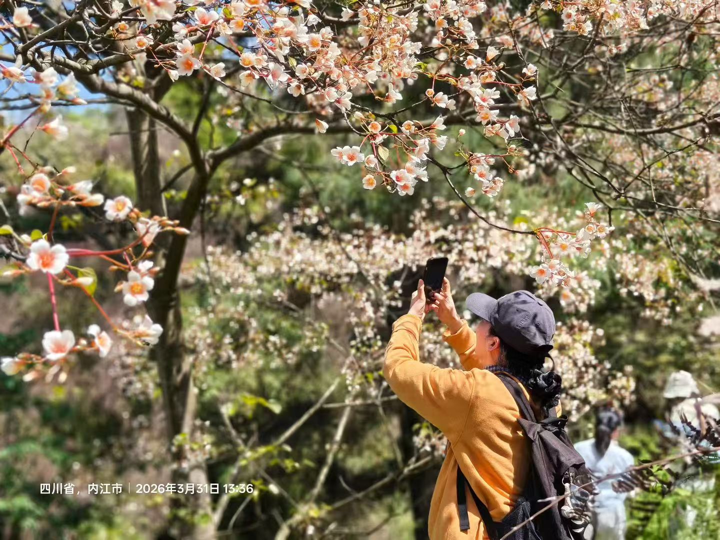 1775003152533000.jpg 微信图片_20260401082504.jpg