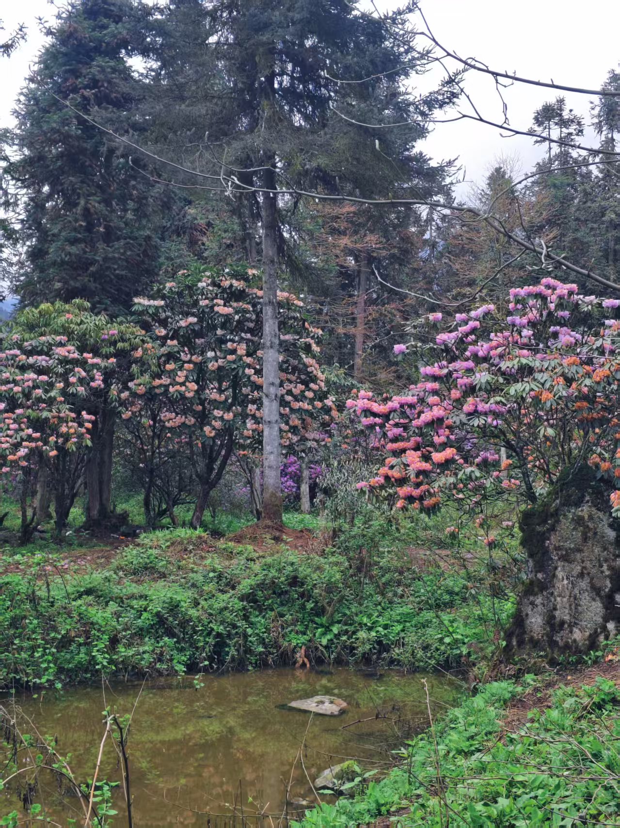 1776064637579396.jpg 微信图片_20260413151631.jpg