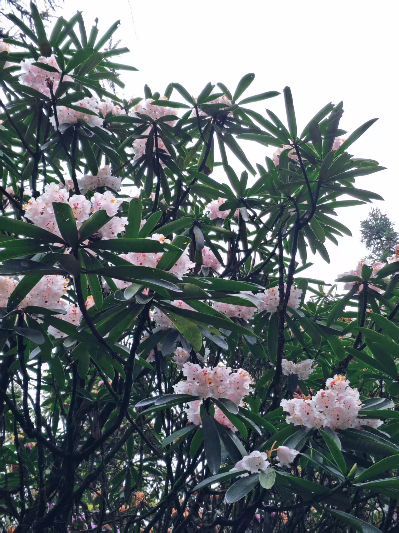 1776064639132460.jpg 微信图片_20260413151639.jpg