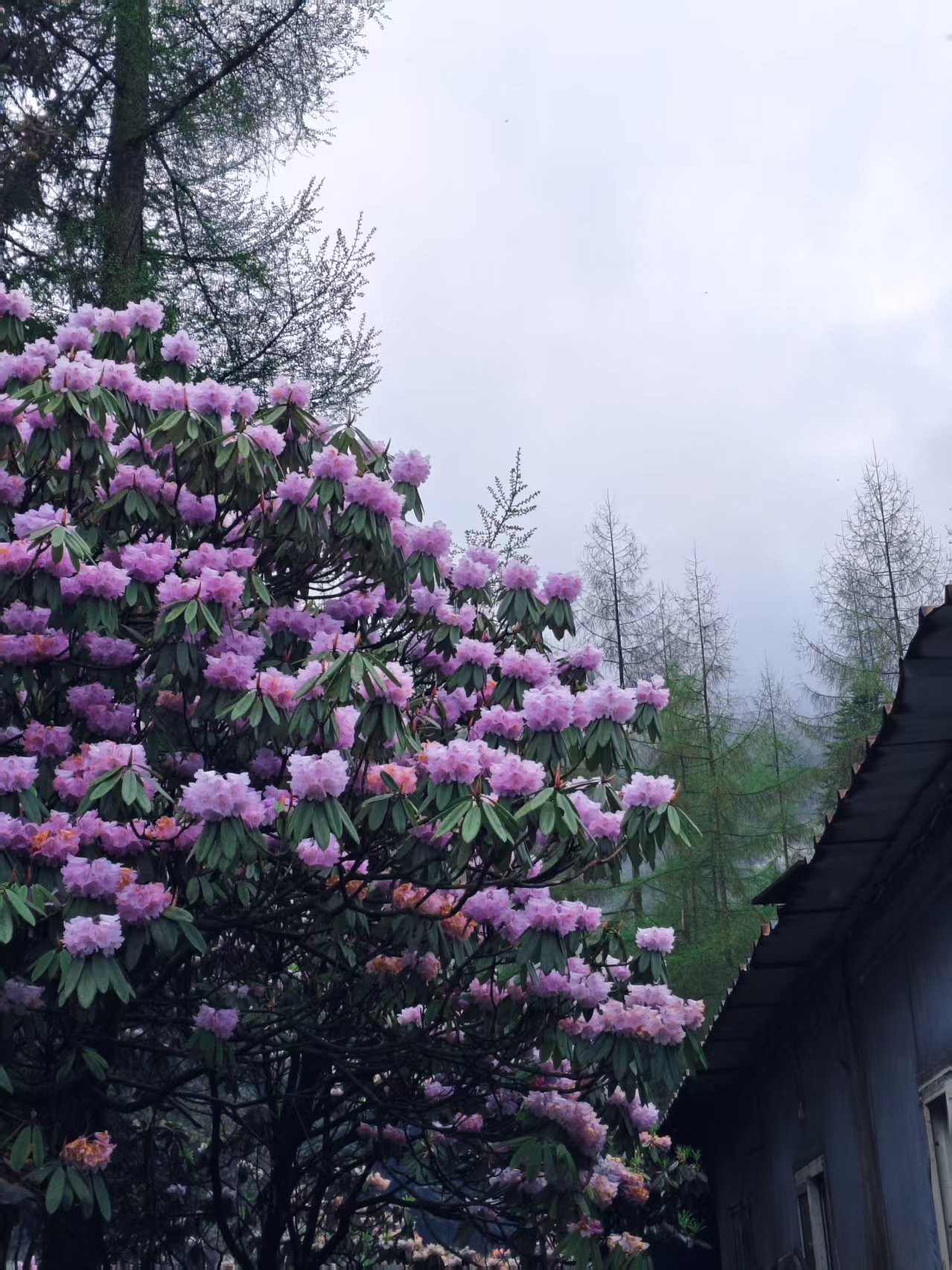 1776064642209938.jpg 微信图片_20260413151646.jpg