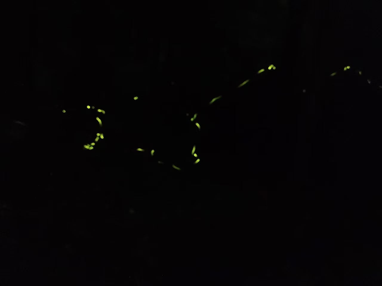 微信图片_20260506115820.jpg