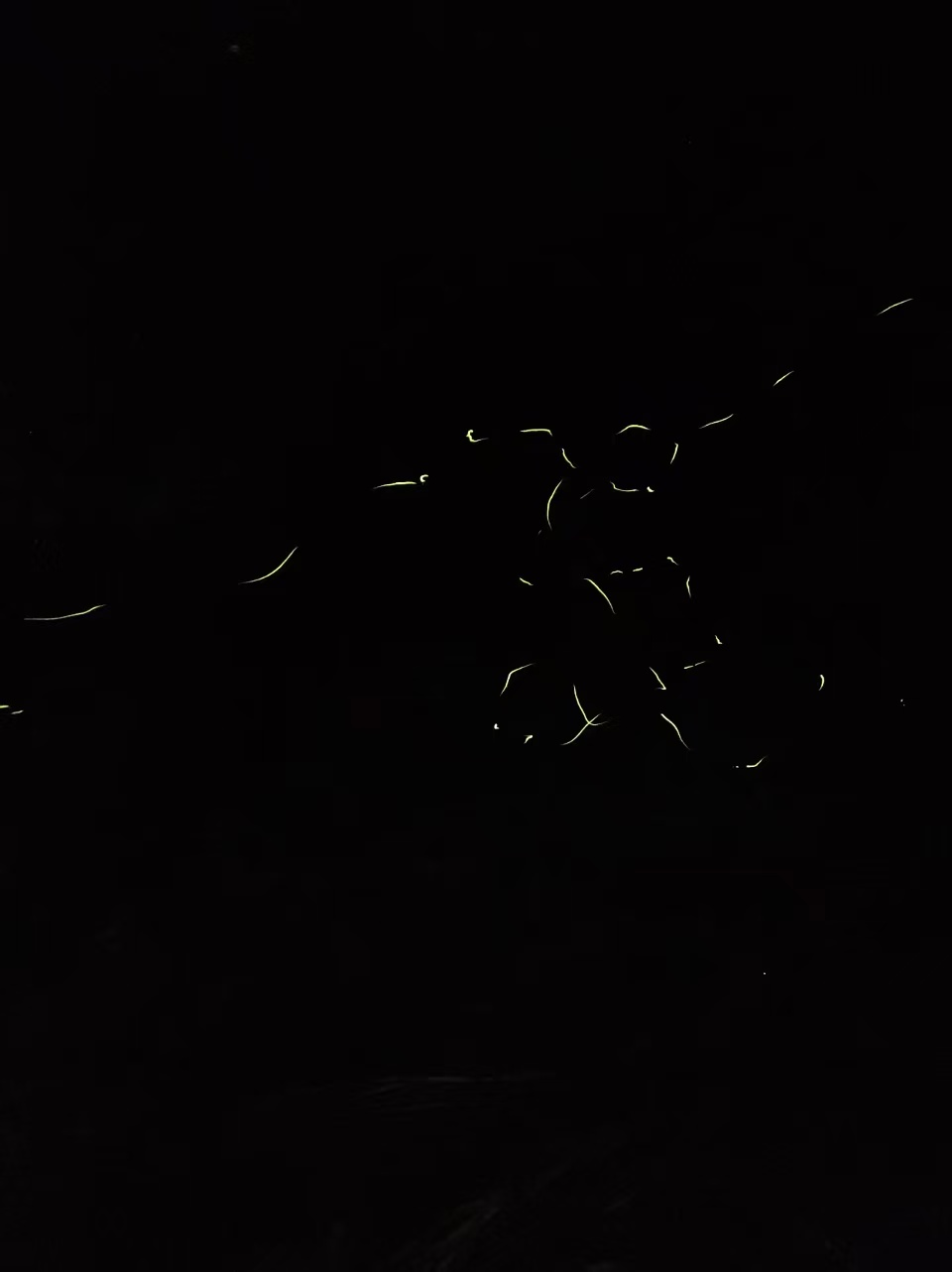 微信图片_20260506115823.jpg