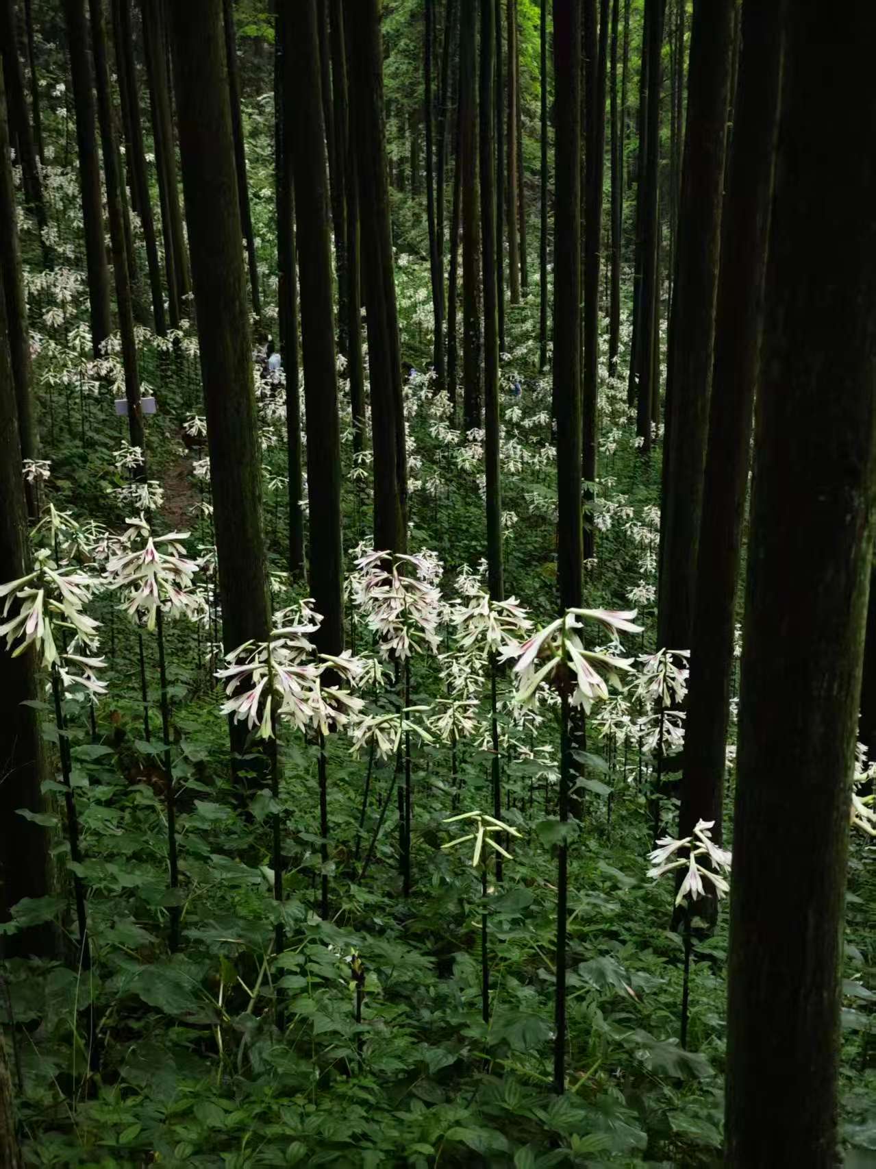 微信图片_20260516173333.jpg
