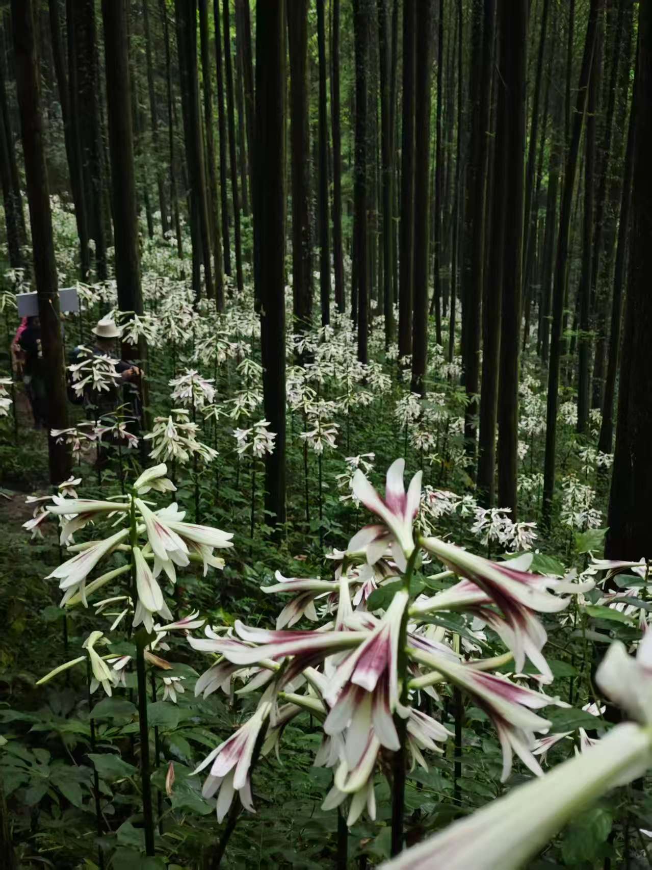 微信图片_20260516173348.jpg