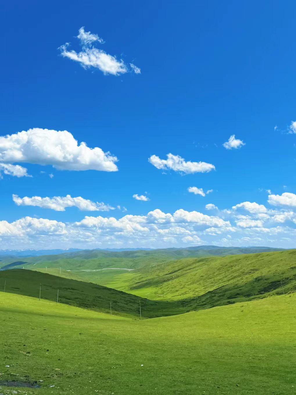 1779430143925126.jpg d62e67c00720c7849ebb23122ecc02e9.jpg