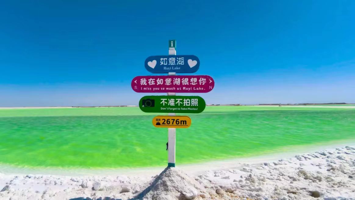 d12f55b39971a0b169e2bf6551df58c1.jpg