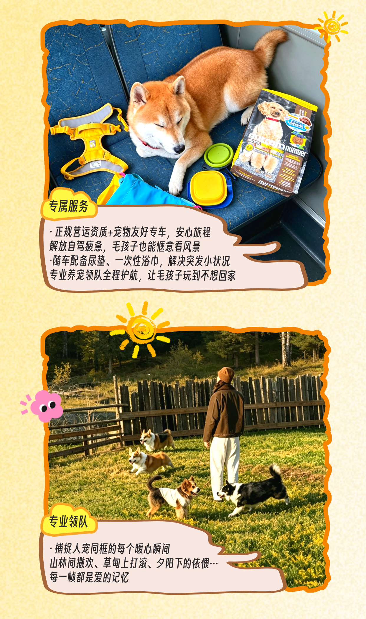 副本_宠物体检宣传手绘风海报__2026-06-05+16_09_08.jpg