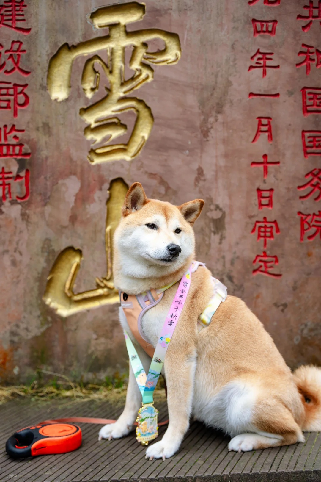 狗都能领徒步奖牌了？｜大飞水遛宠攻略_12_碳碳烤红薯_来自小红书网页版.jpg