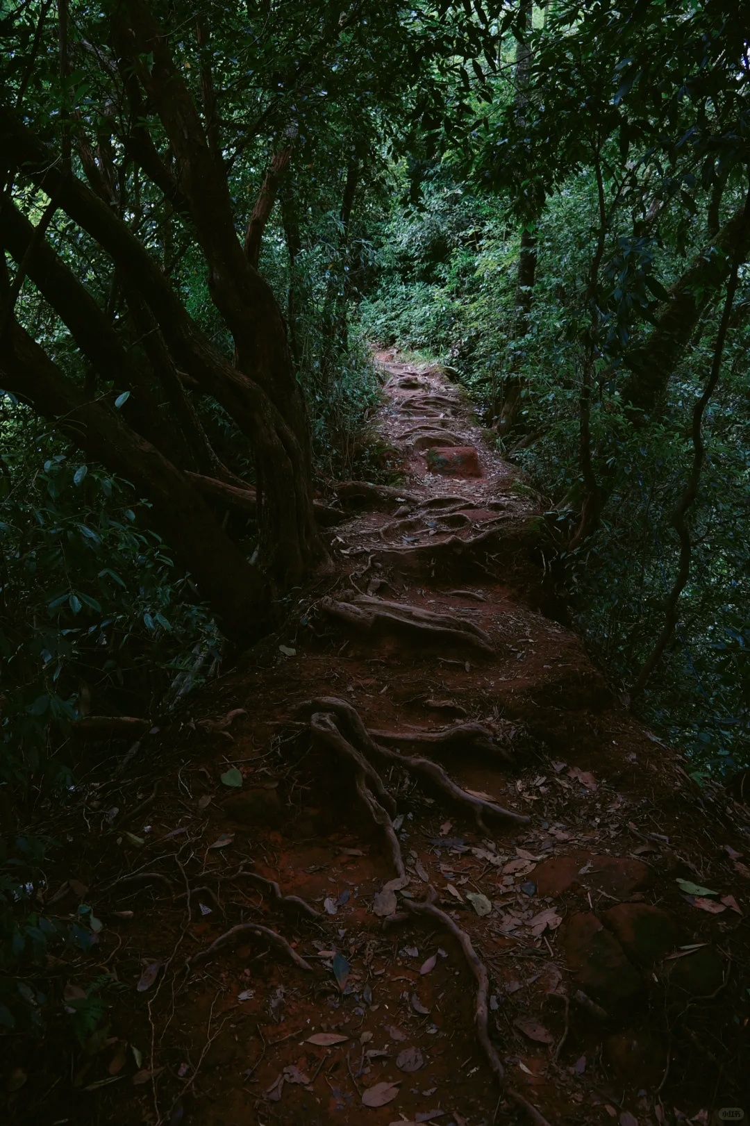 1782178224763217.jpg 21.jpg