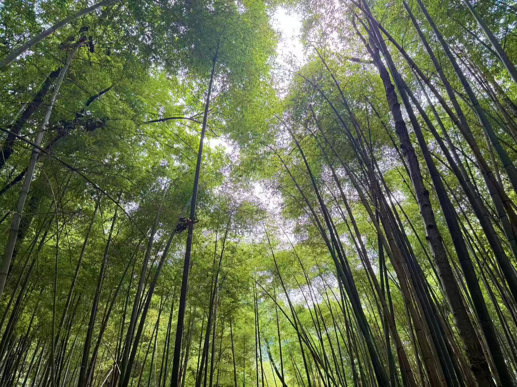 1783301112302765.jpg 微信图片_20260706092426.jpg