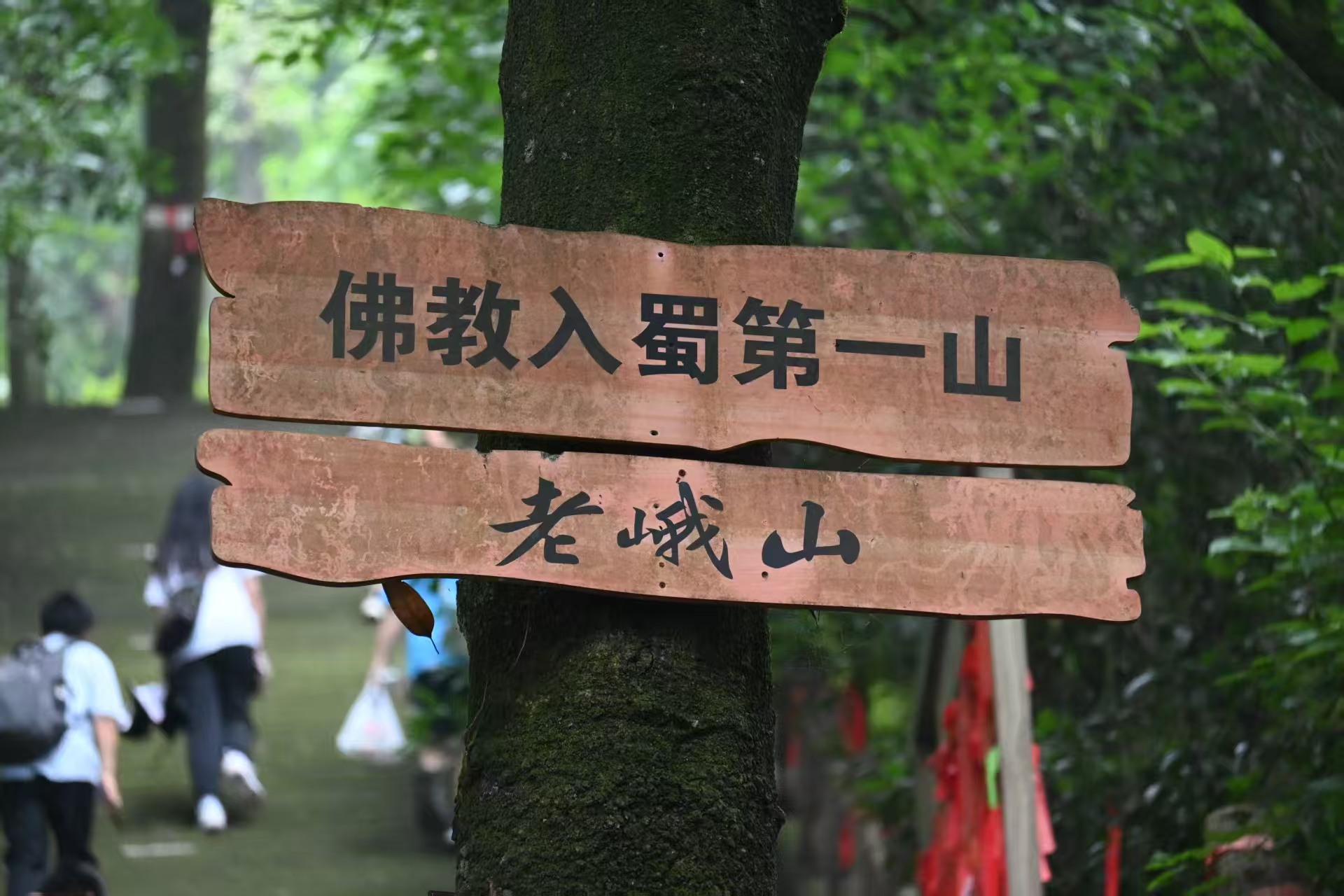 1783302069763126.jpg 微信图片_20260706093416.jpg