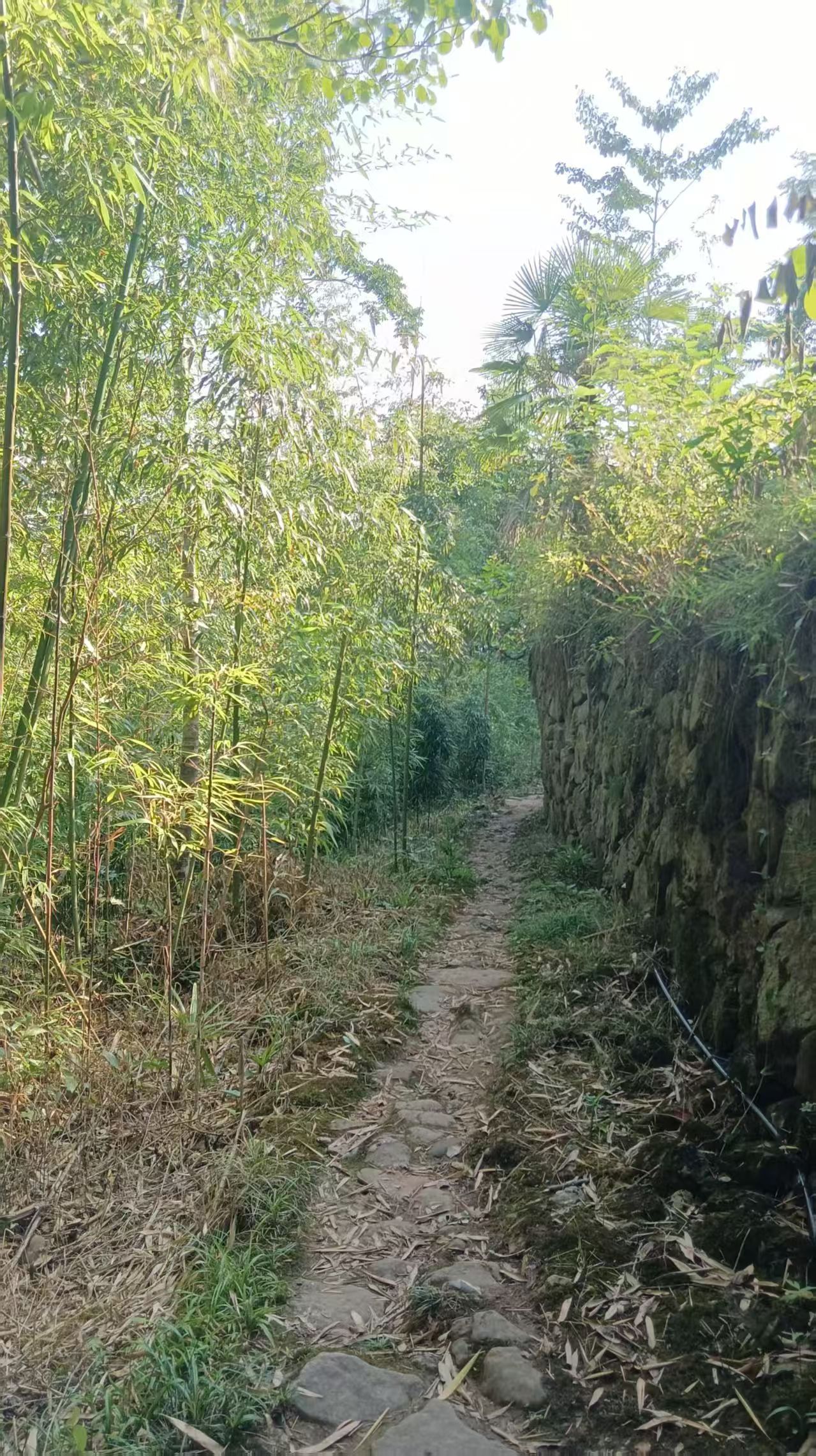 1783483226155849.jpg 微信图片_20260708115957.jpg
