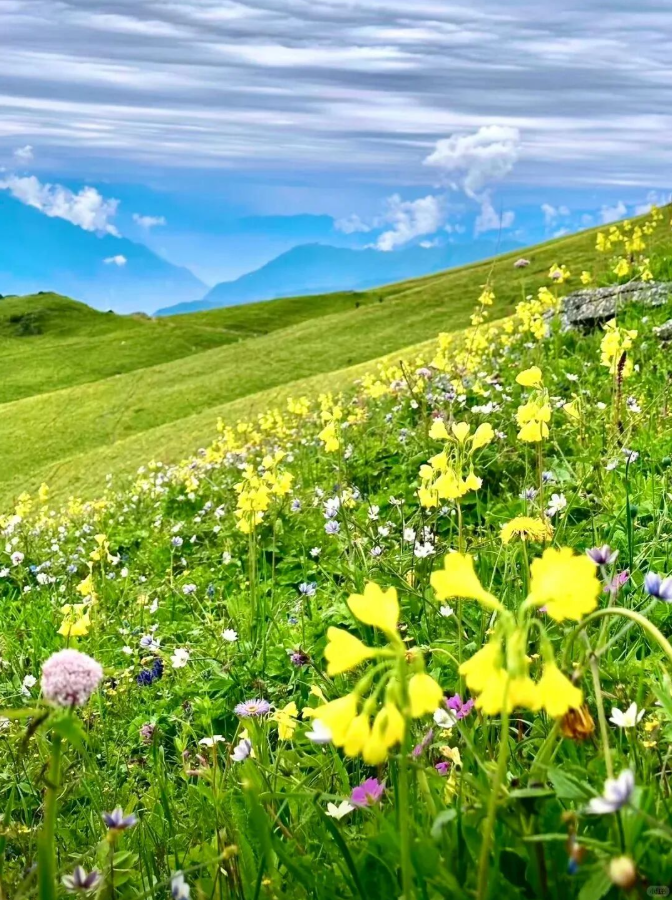 1785228900934074.png image.png