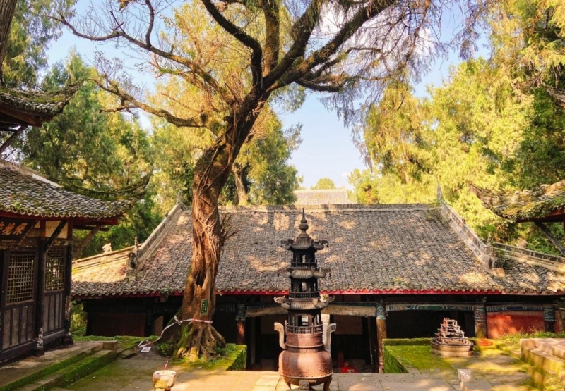 1787810532418120.jpg 11.jpg