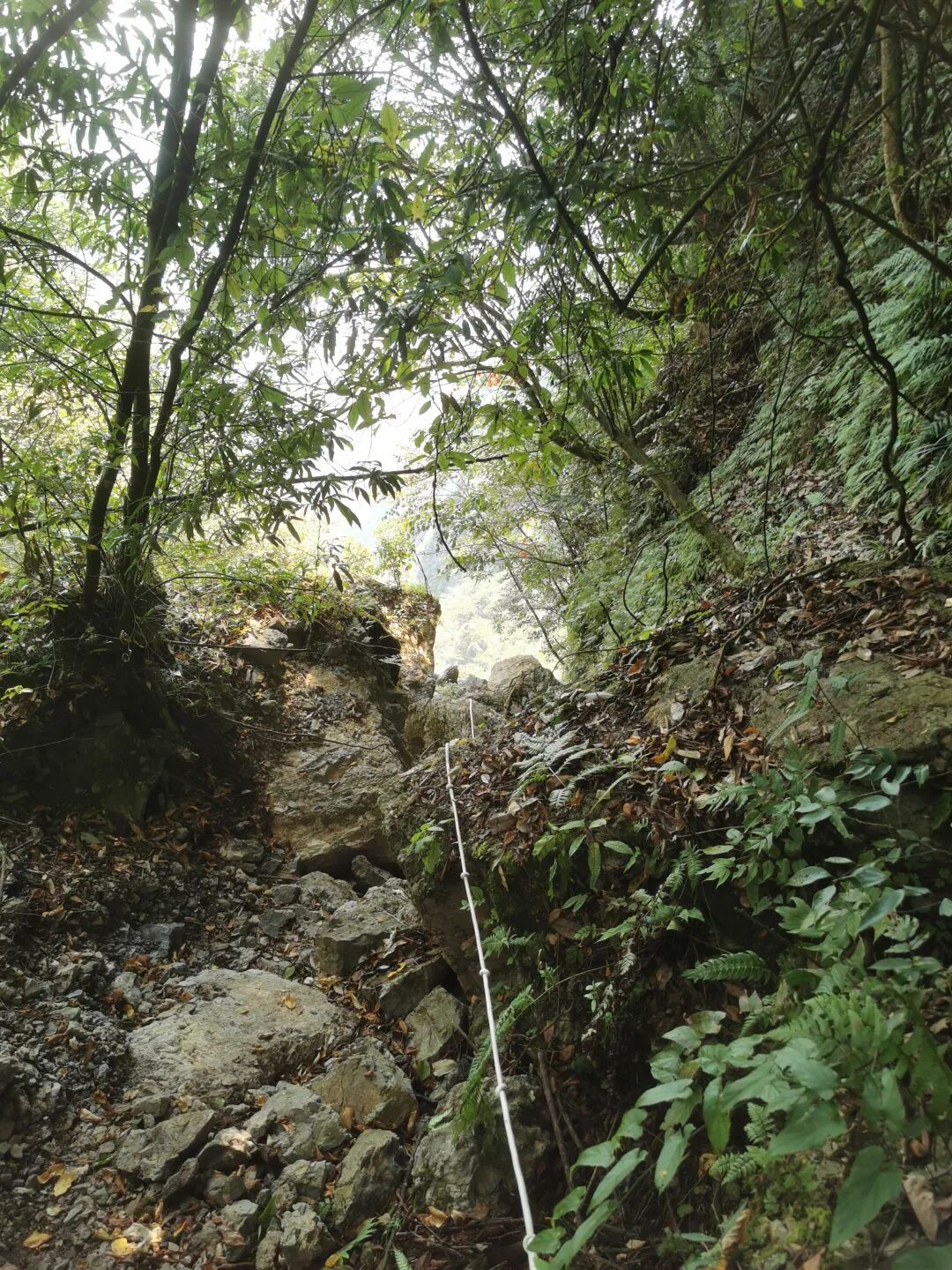 19.jpg