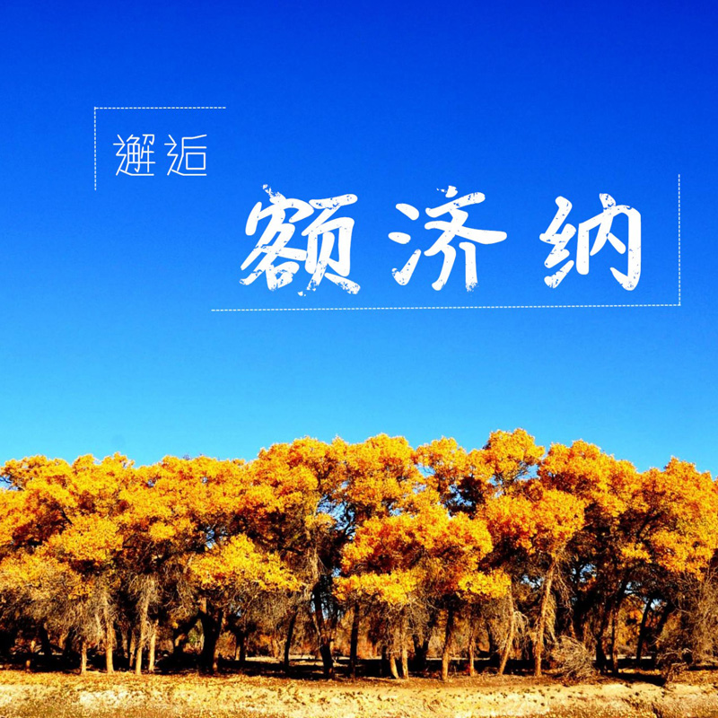【国庆后|金秋额济纳旗】赴一场黄金盛宴，走进大漠龙岭秋色长廊