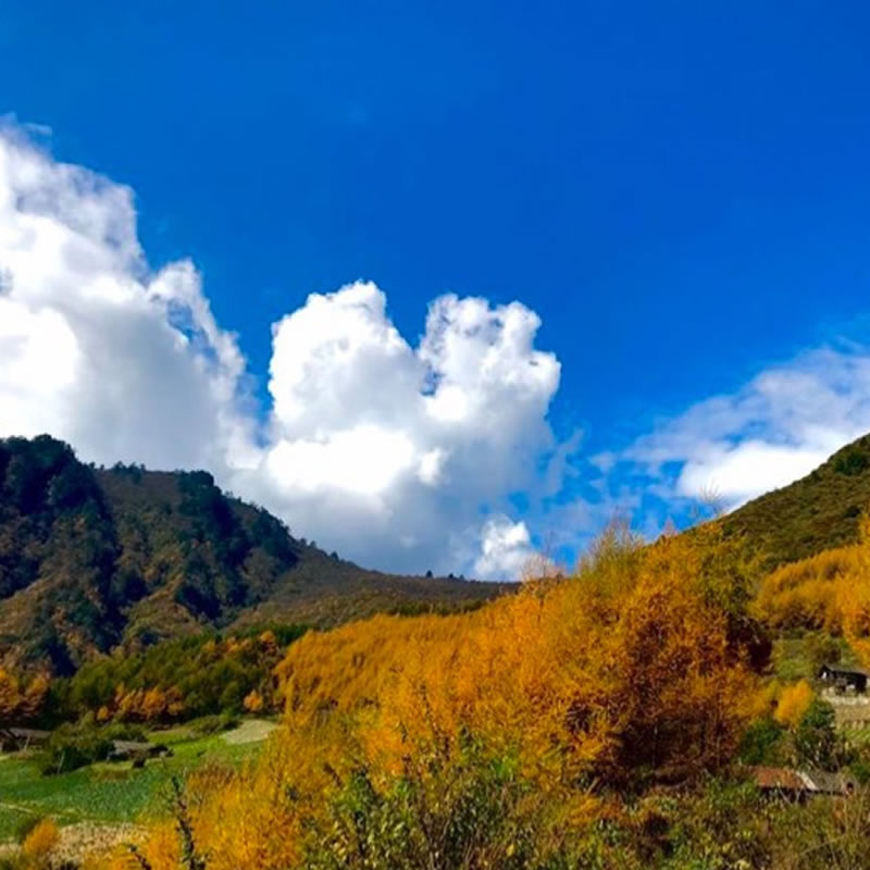 【卧龙老鸦山】走进川西氧吧、深山秘境徒步