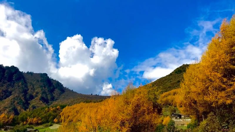 【秋色|老鸦山】走进川西氧吧、深山秘境徒步，绝美彩林