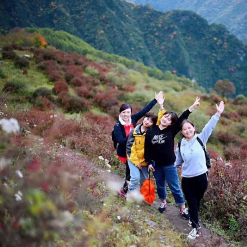 【彩林之红叶大沟穿卓西牧场】沿彩林山沟而上高山牧场,观彩林,体验徒步穿越之美!