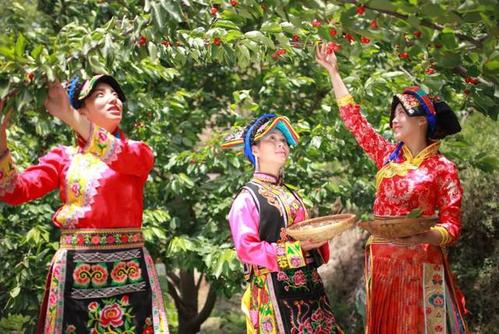 【车厘子|牟托羌寨】游羌寨美景+摘甜美车厘子，美景美食让你一次过瘾！