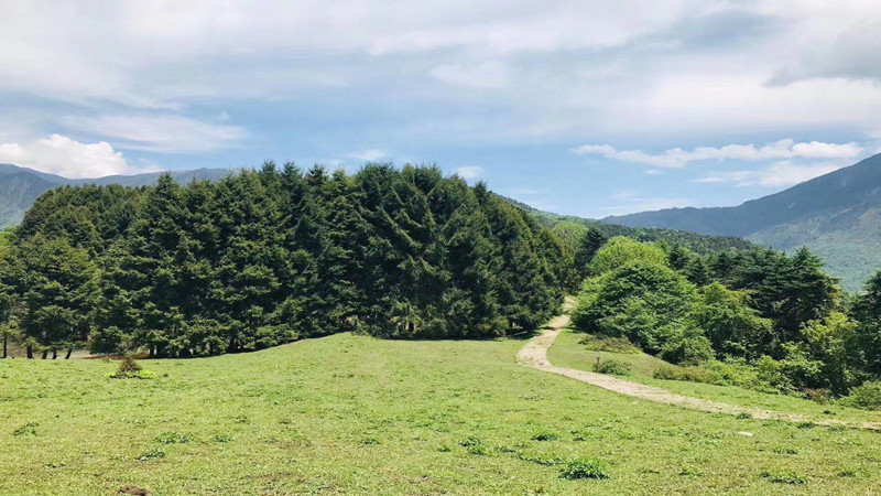 【徒步|卧龙幸福沟】幸福沟穿熊猫坪，跨山踏河，走进高山草甸荡秋千