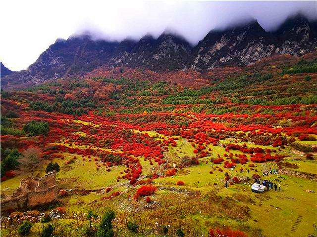 【九子屯老寨牧场秋季换装】草地、原始森林、云海,走进世外高山草场