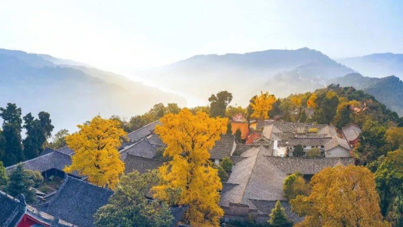 【银杏|云顶山】走近千年古刹、百年银杏树下的浪漫、云顶龙脊古道