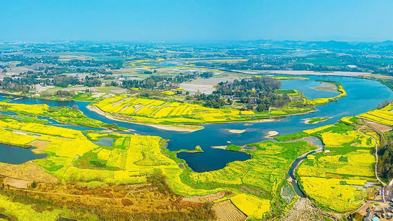 【邛崃“小江南”】踏春野路子！成都私藏“小江南”，花海已美翻！