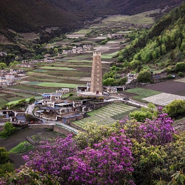 【董马藏寨】5000亩羊角花如期盛放，被花海掩盖的世外藏寨