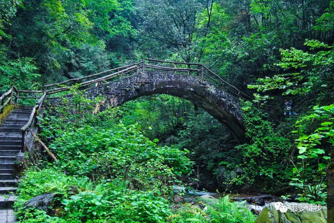 【轻徒|西岭大飞水】徒步“小瑞士”大飞水、森林氧吧，打卡网红小镇