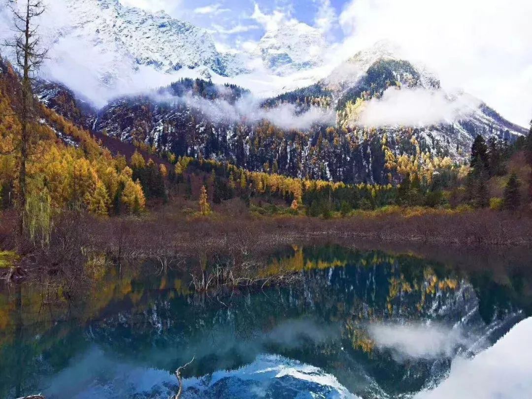 【霸王山虞美措】一步一景，穿越五彩童话世界
