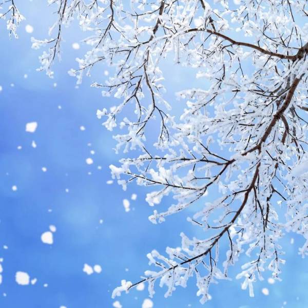 【甘海子】白雪皑皑,冰晶雾凇,坐看云卷云舒