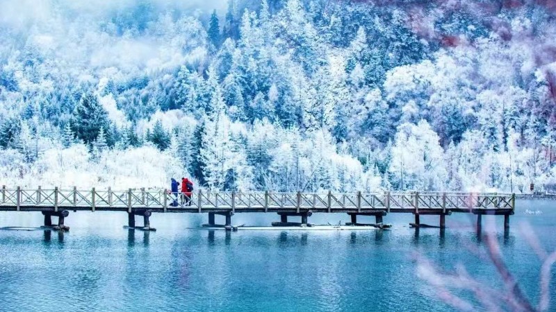 【冰雪|毕棚沟】冰雪绝美川西,天上仙境,人间阆苑