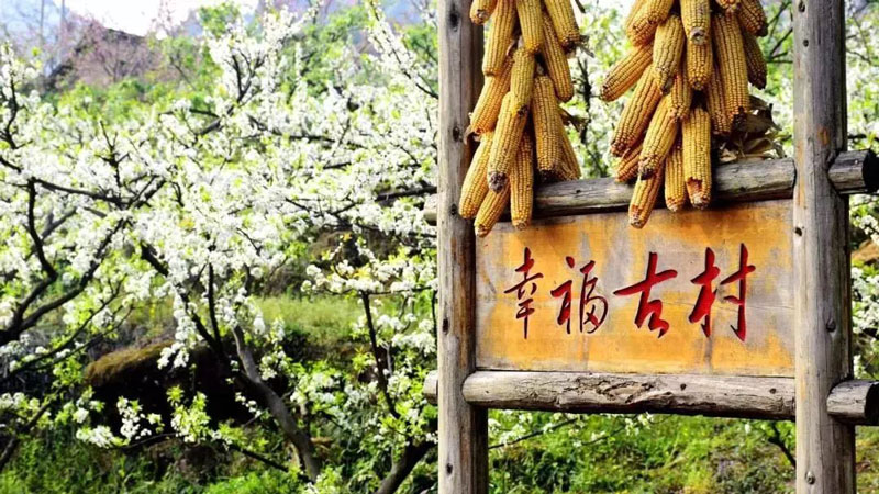 【赏花|幸福古村】倾心十里桃花红，邂逅这座被“封冻”的幸福古村，打卡五彩油菜花田