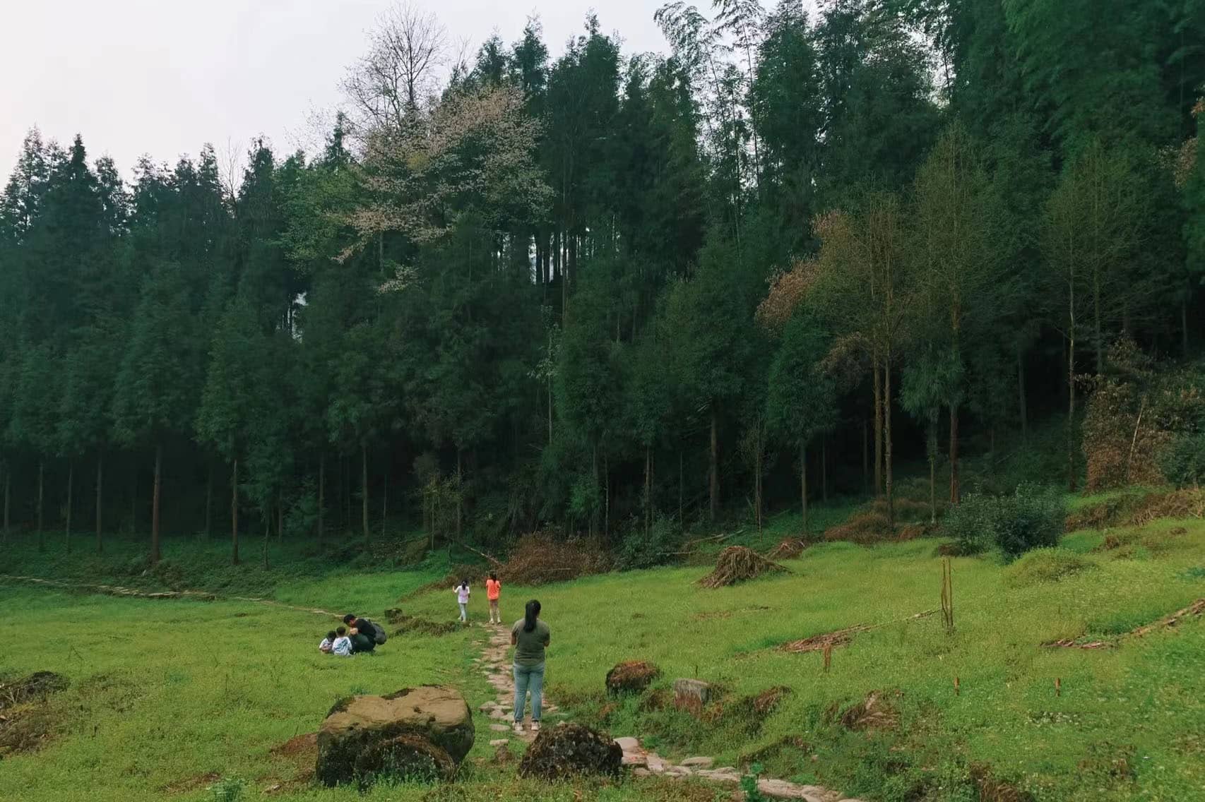 定制专用报名贴（团期1）