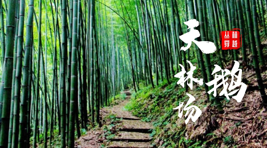天鹅林场