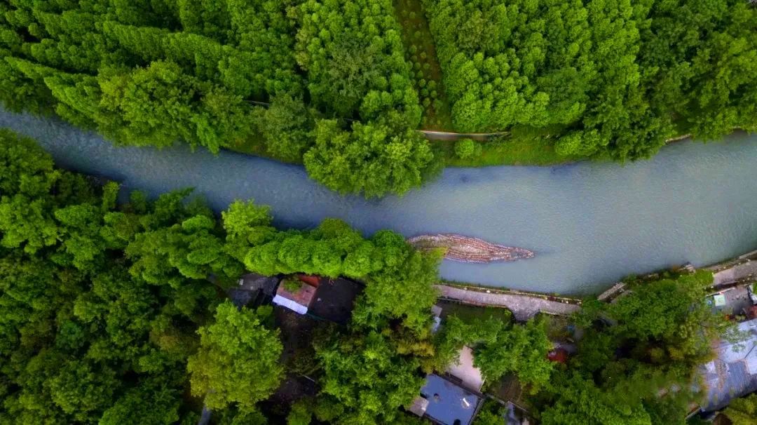 【莲花湖|朱家湾林盘】闲步湖堤上，波光万点金，河边森林绿道徒步