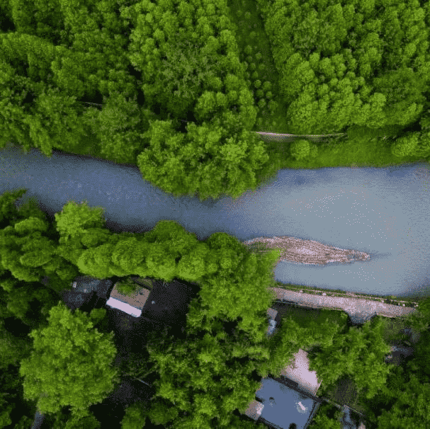 【休闲|朱家湾林盘】闲步湖堤上，波光万点金，打卡新晋网红地，河边森林绿道徒步