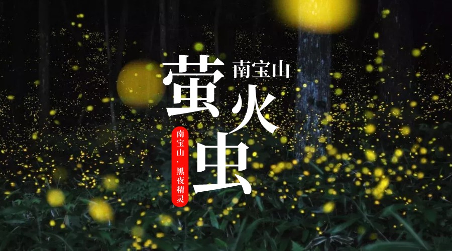 南宝山萤火虫