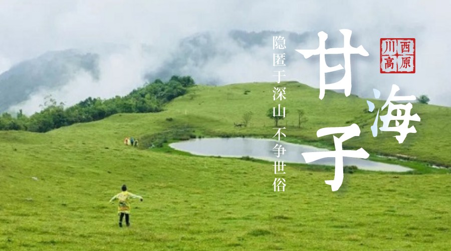甘海子