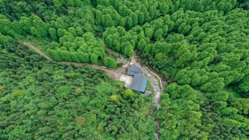【深山秘境|白石河谷】走近森林浴场，徒步深山秘境