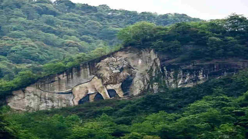 【徒步|狮子山大环线】沉浸式森林徒步，享受山野户外生活
