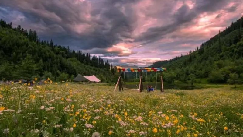 【松潘俄里野奢露营】静卧花海，实现虫草自由，赏云海盛景，篝火晚会、民族风旅拍、野外KTV