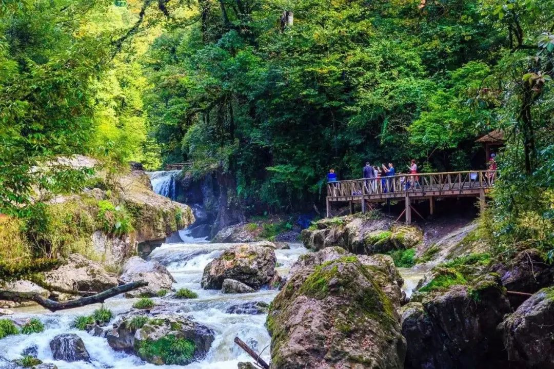 【打卡奖牌|龙苍沟】负氧离子是成都的400倍，消夏避暑好地方