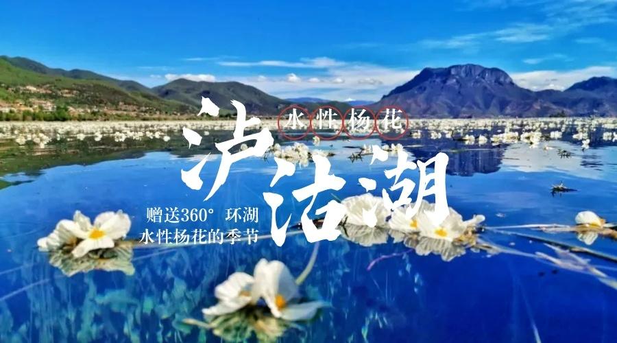 泸沽湖秋
