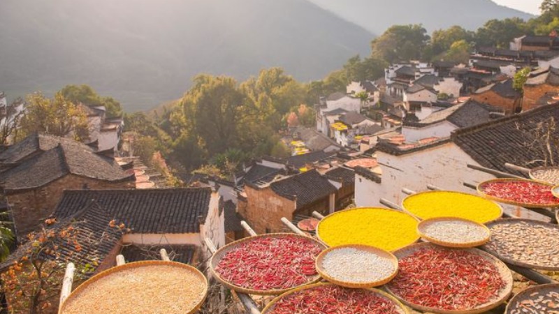 【旅拍|婺源晒秋】雾中红枫，古村晒秋，走进秋日醉美水墨画卷！