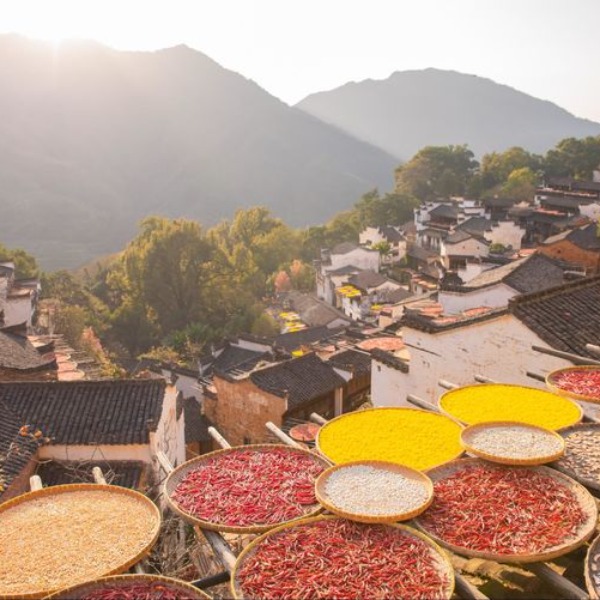 【旅拍|婺源晒秋】雾中红枫，古村晒秋，走进秋日醉美水墨画卷！