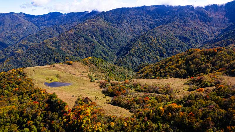 【秋色|甘海子】走近卧龙醉美高山草甸，彩林浮现、坐看云卷云舒