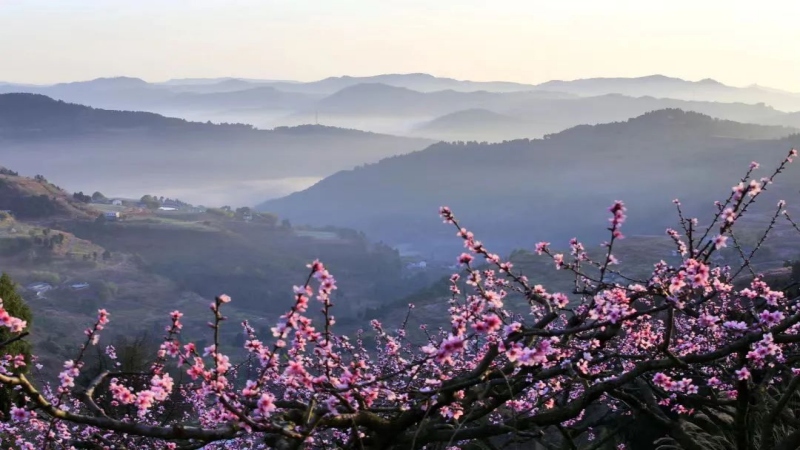 【上春山|龙泉山桃花】春日限定，龙泉拉练看桃花，穿越石经寺