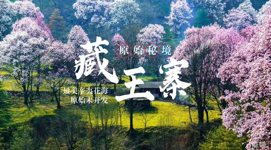 藏王寨